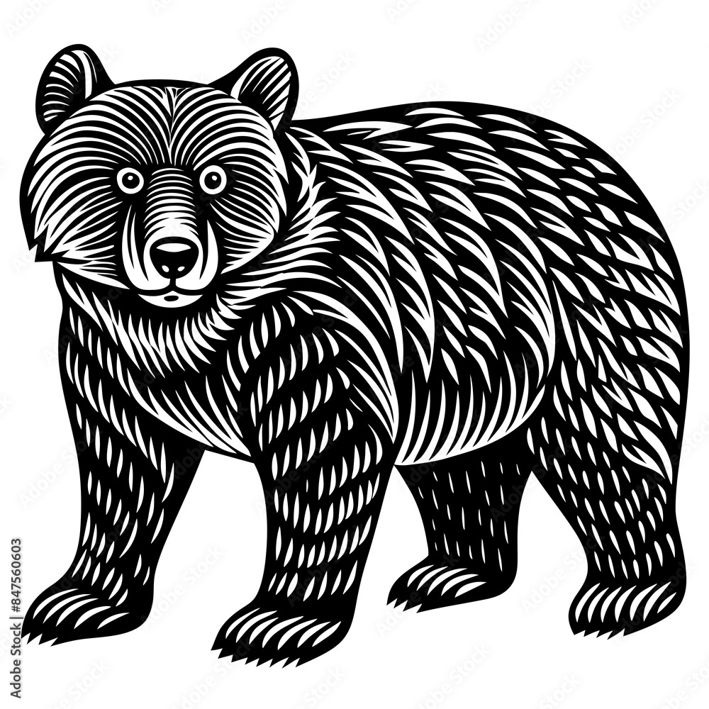 hand drawn bear in a minimal linocut style slim silhouette illustration hand drawn bear in a minimal linocut style slim silhouette illustration