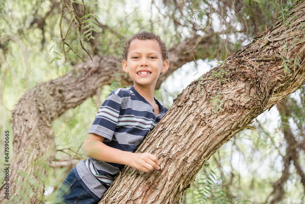 Boy climbing tree and smiling into camera Boy climbing tree and smiling into camera