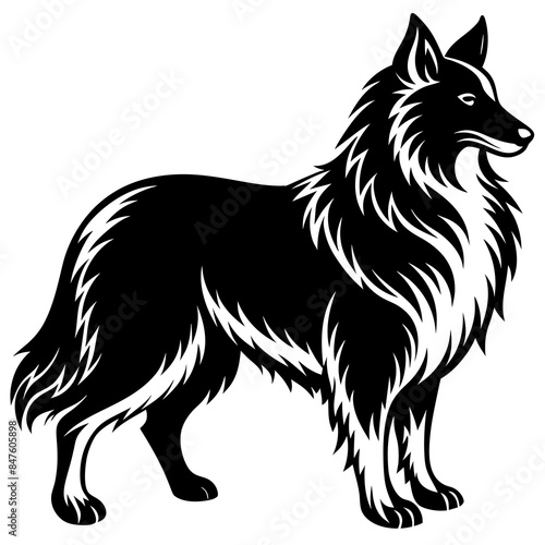 Lassie dog silhouette vector illustration