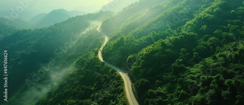 Aerial view of green forest and mountain path, sustainability roadmap concept