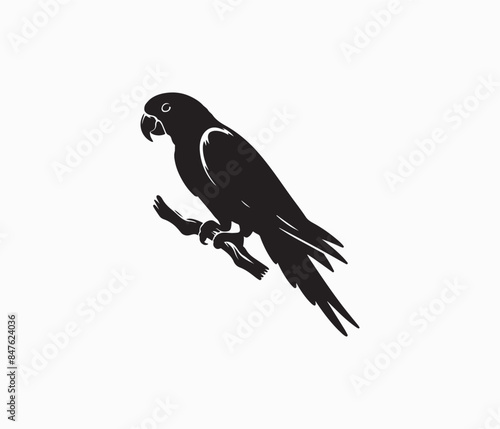 parrot silhouette art illustration