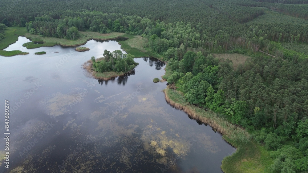 Aerial View of Lush Green Reeds in Blue Lake Water Aerial View of Lush Green Reeds in Blue Lake Water