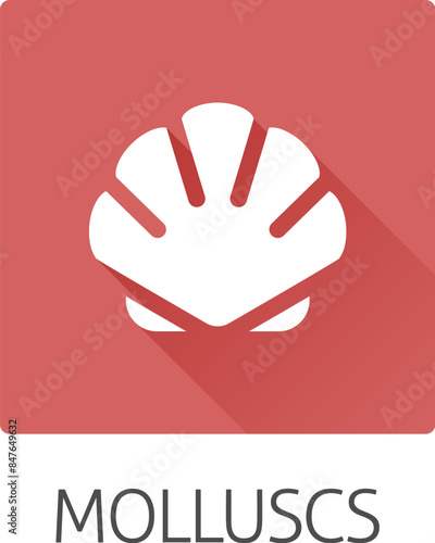 A seashell shell clam mollusc food stylised icon. Possibly an icon for the allergen or allergy or a seafood concept.