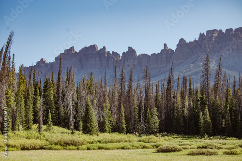 Picturesque view of sky, pines, and rock formations in South Dakota photo