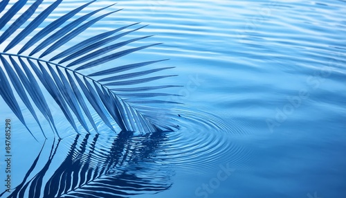 A serene image of a palm leaf gently floating on a calm water surface, creating soft ripples that expand outward. The water reflects the blue sky, enhancing the peaceful atmosphere. 