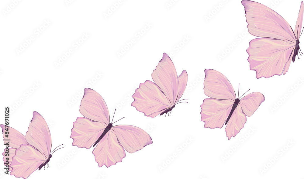 Fototapeta premium atercolor isolated on white flying butterflies 