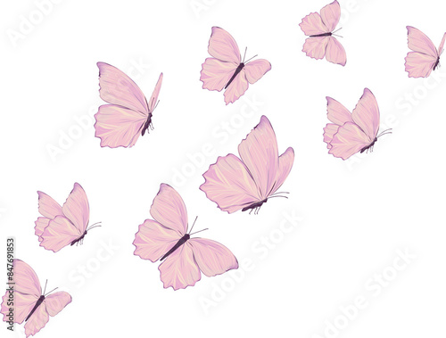 overlay, butterfly, insect, isolated, nature, wing, animal, colorful, butterflies, beautiful, spring, summer, vector, bug, monarch, daisy, decorative, wild, watercolor, positive, post card, poster, wa