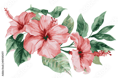 tropical flowers watercolor painting, isolated on white background, minimalism.