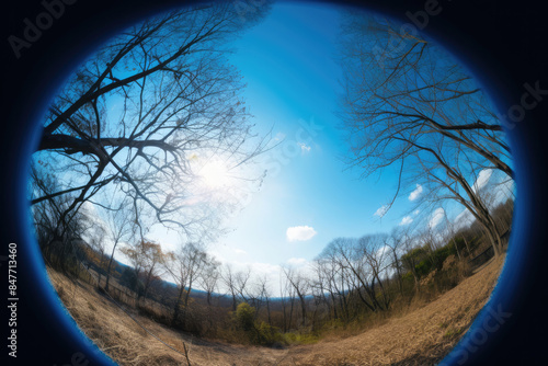 Wallpaper Mural 空, 青空, 雲, 草原, 池, 木, 森, パノラマ, sky, blue sky, clouds, meadow, pond, trees, forest, panorama Torontodigital.ca
