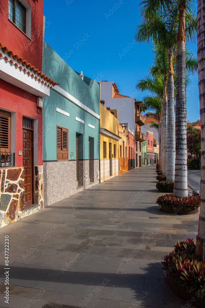 Fototapeta premium Colorful houses with palm trees in the streets of 