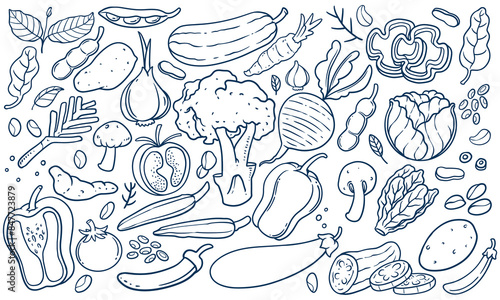 Monochrome Vegetable Doodle Illustration set. Hand drawn set of vegetables isolated on white background.