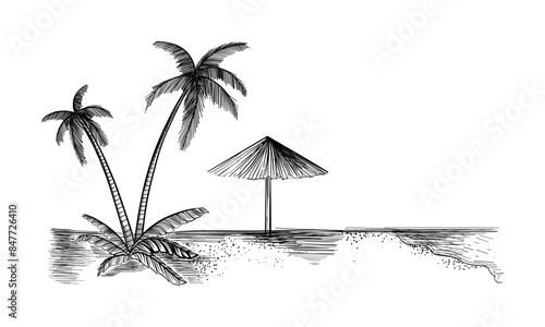 Tropical landscape with palm trees. Hand drawn sketch. Vector illustration.