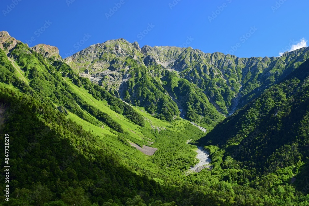 Fototapeta premium 上高地の夏景色