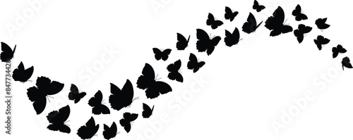 Black butterfly silhouettes. Outline butterflies romantic tattoo, tropical insects stencil. Summer and spring exotic symbols isolated vector set. Elegant wild flying moth of various shape	