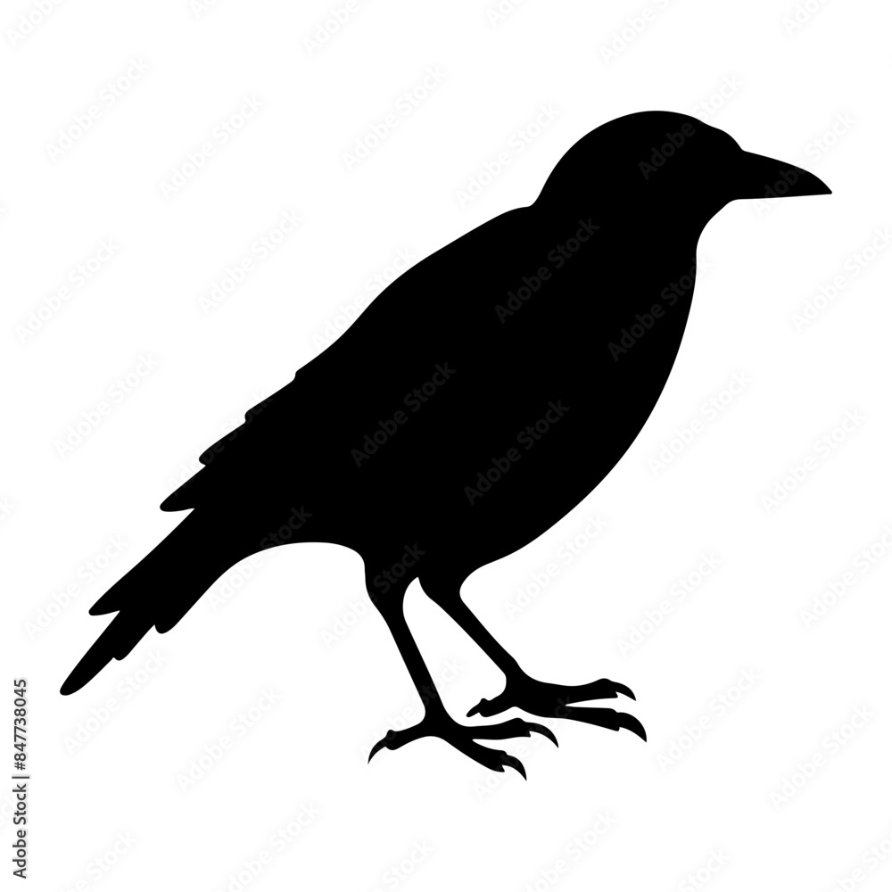 crow silhouette, crow icon vector illustration crow silhouette, crow icon vector illustration
