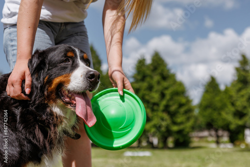 Tableau sur toile The owner is in the park playing fetch with their dog using a flying disc on a s