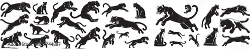 vector set collection of pumas jumping in silhouette style