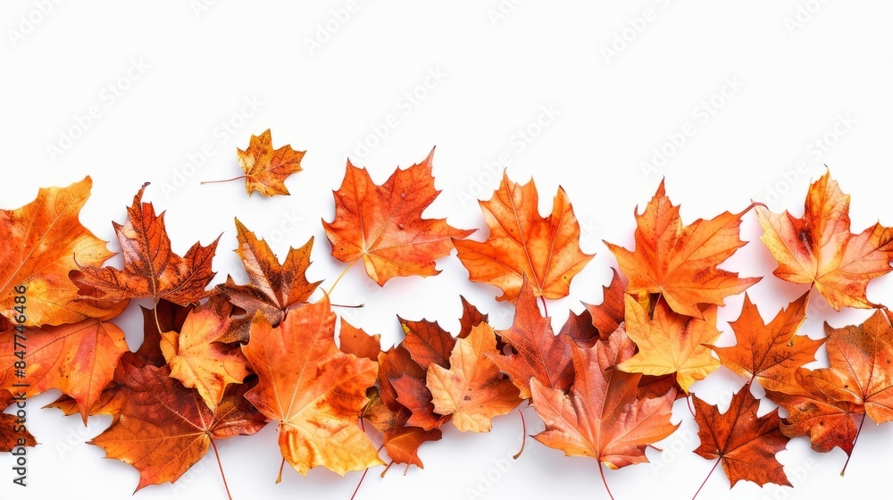 A white background with a large pile of orange leaves scattered across it. The leaves creating a sense of movement and depth. A white background with a large pile of orange leaves scattered across it. The leaves creating a sense of movement and depth.