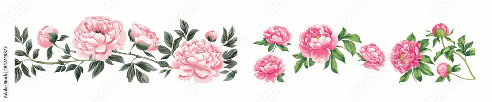 Peony flower set. Japanese blooms in retro style. Realistic botanical hand-drawn images isolated on white background. Beautiful Japan blooms in retro style. Peony flower set. Japanese blooms in retro style. Realistic botanical hand-drawn images isolated on white background. Beautiful Japan blooms in retro style.