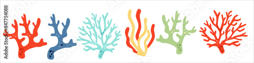 Vector collection of colorful corals. Underwater plants on white background . Vector illustration