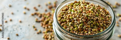 Raw green buckwheat sprouted cereals, green buck wheat grains in jar, uncooked kasha sprouts heap photo