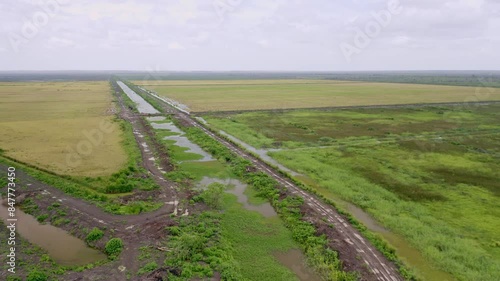 Aerial: Big open rice fields with river canal flowing through, Nickerie Suriname photo