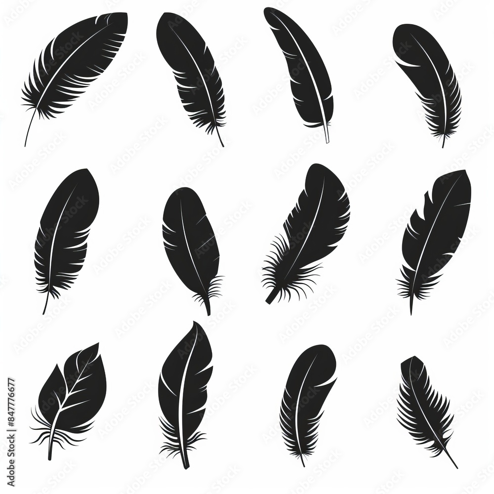Feather icon, animal feathers isolated, black plume symbol, minimal plume silhouette on white Feather icon, animal feathers isolated, black plume symbol, minimal plume silhouette on white