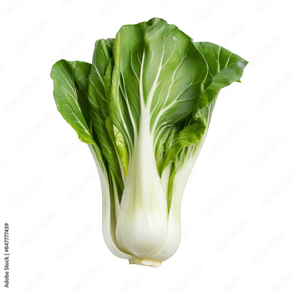 Crisp fresh bok choy with vibrant green leaves and crunchy white stalk, perfect for salads, stir-fries, and healthy meals. High-resolution image. Crisp fresh bok choy with vibrant green leaves and crunchy white stalk, perfect for salads, stir-fries, and healthy meals. High-resolution image.