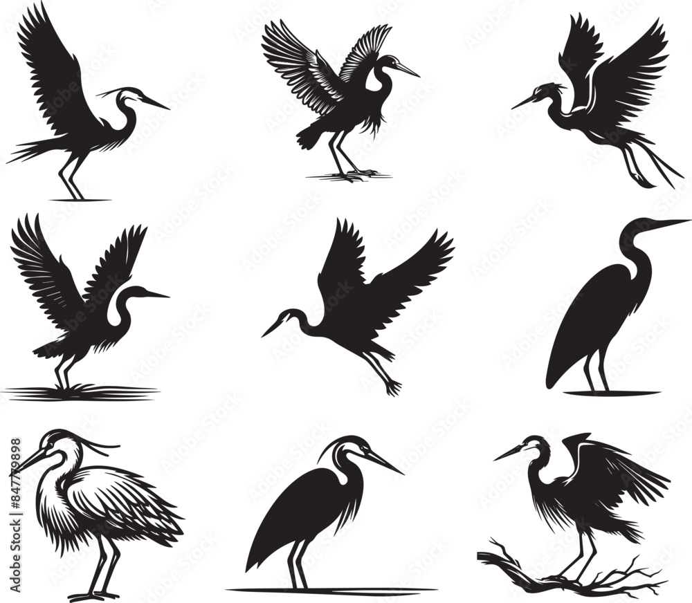 Obraz premium set of silhouettes of heron birds