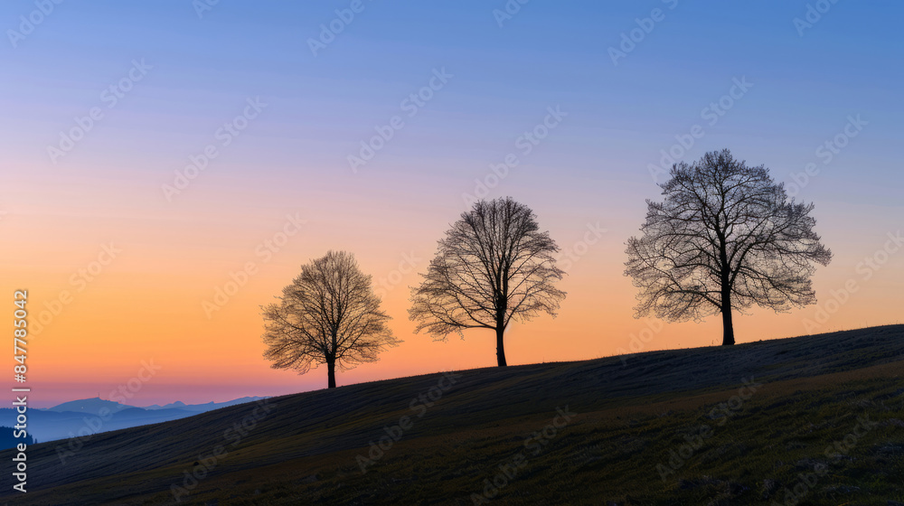 Silhouettes of trees on moraine hills at sunset Silhouettes of trees on moraine hills at sunset