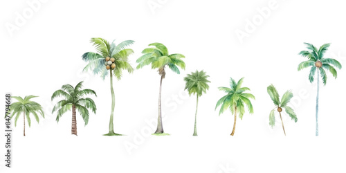 Set of watercolor coconut trees on white background
