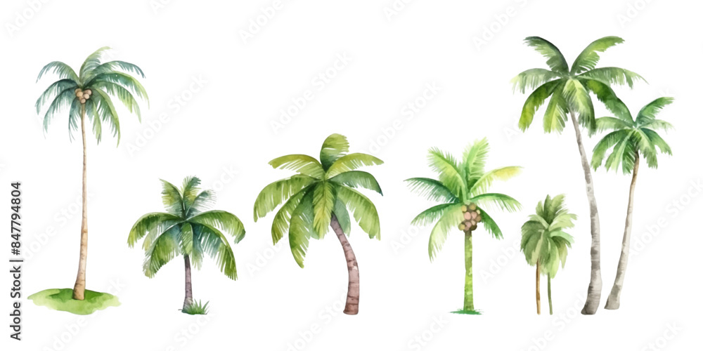 Obraz premium Set of watercolor coconut trees on white background
