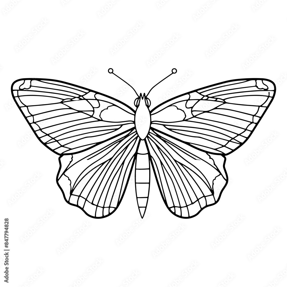 A simple line drawing of a butterfly coloring page with a white background and bold black lines on paper. A simple line drawing of a butterfly coloring page with a white background and bold black lines on paper.