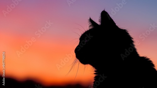 A closeup photo of a black cats silhouette against a vibrant sunset sky, capturing the transition from day to night