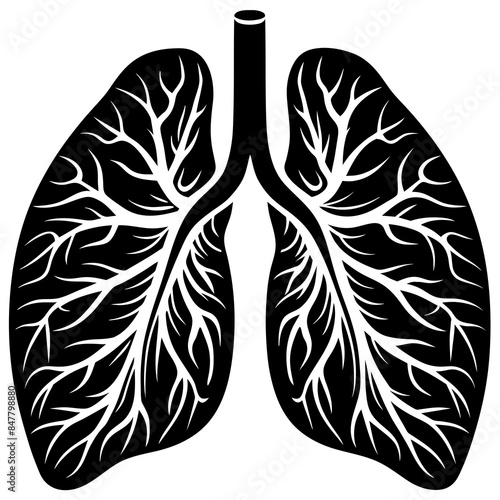 human Lungs  vector silhouette illustration, 