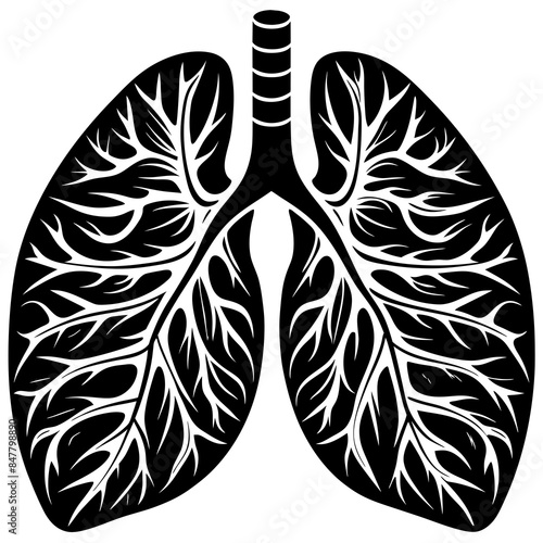 human Lungs  vector silhouette illustration, 