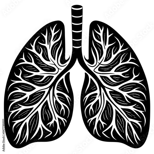 human Lungs  vector silhouette illustration, 