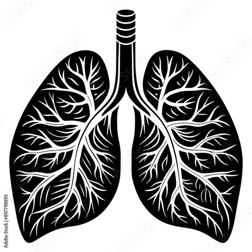 human Lungs  vector silhouette illustration, 
