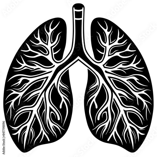 human Lungs  vector silhouette illustration, 