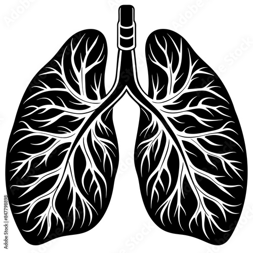 human Lungs  vector silhouette illustration, 
