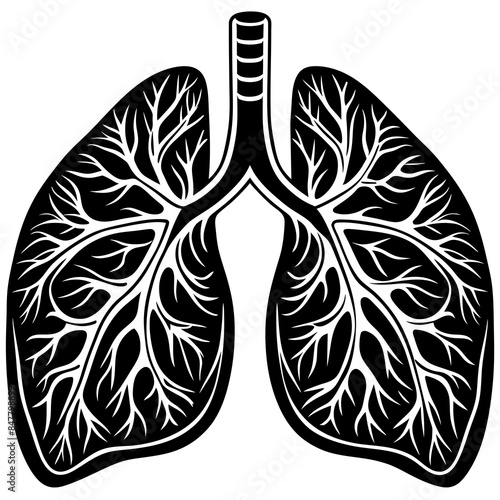 human Lungs  vector silhouette illustration, 
