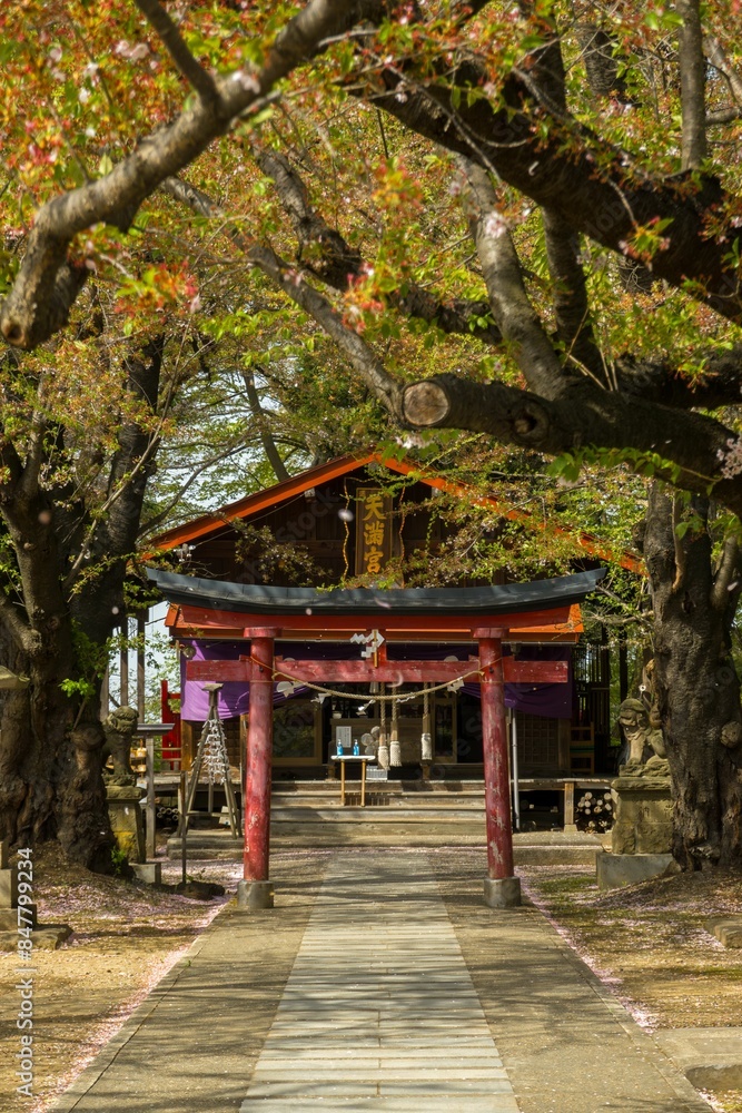 Serene view of a traditional Japanese shrine with a torii gate, surrounded by trees and blossoms. Serene view of a traditional Japanese shrine with a torii gate, surrounded by trees and blossoms.