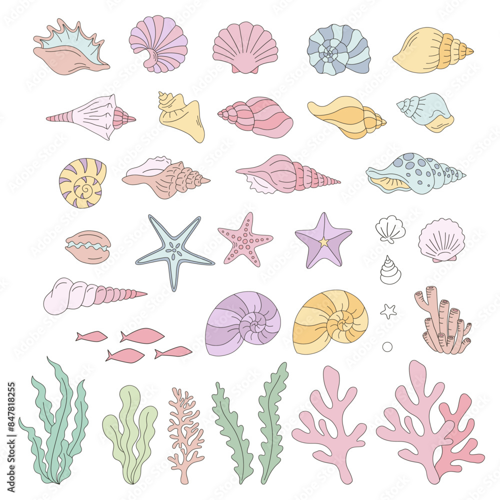 Obraz premium Colourful Shells Corals Seaweeds vector clip-art set isolated on white. Groovy underwater illustration