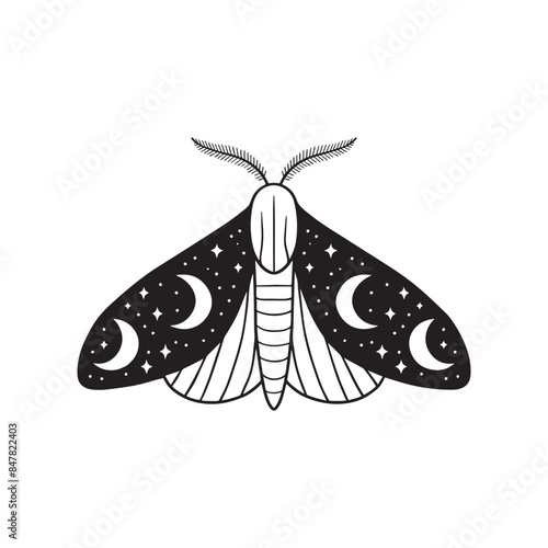 Illustration of moth with moon and night sky wing motive