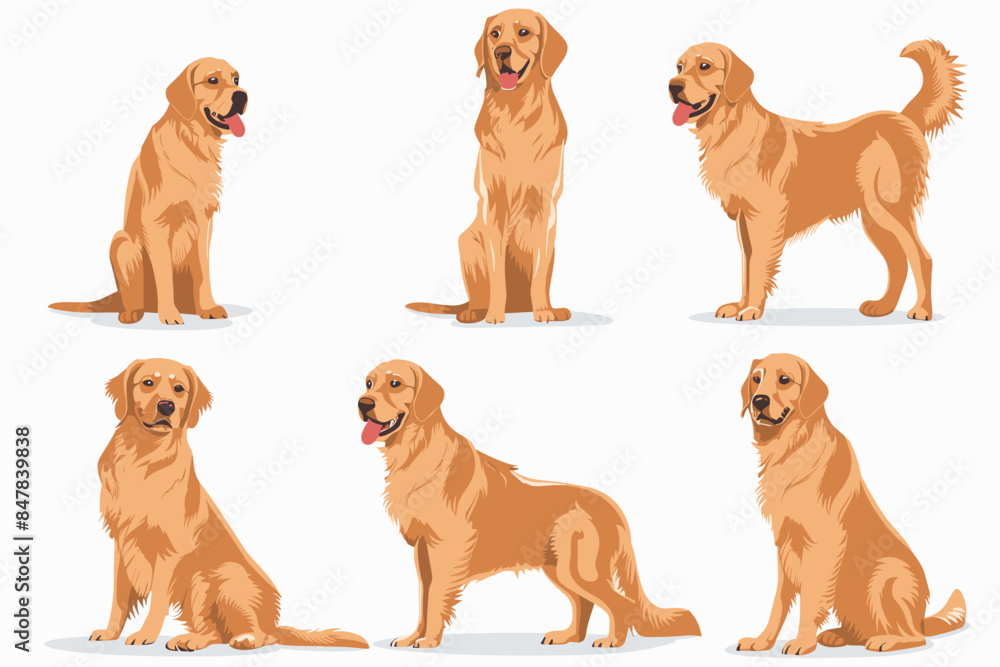 Cartoon dog. Active pet animal, cute puppy and dogs in different poses, running, jumping and sleeping character vector illustration set Cartoon dog. Active pet animal, cute puppy and dogs in different poses, running, jumping and sleeping character vector illustration set