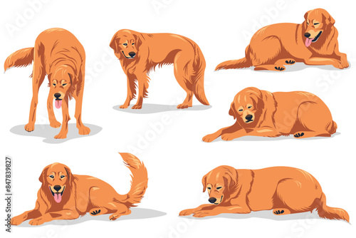 Cartoon dog. Active pet animal, cute puppy and dogs in different poses, running, jumping and sleeping character vector illustration set
