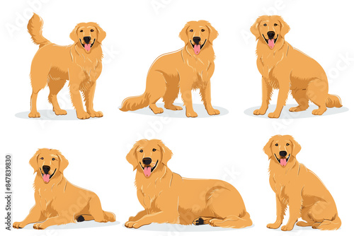 Cartoon dog. Active pet animal, cute puppy and dogs in different poses, running, jumping and sleeping character vector illustration set