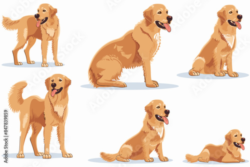 Cartoon dog. Active pet animal, cute puppy and dogs in different poses, running, jumping and sleeping character vector illustration set