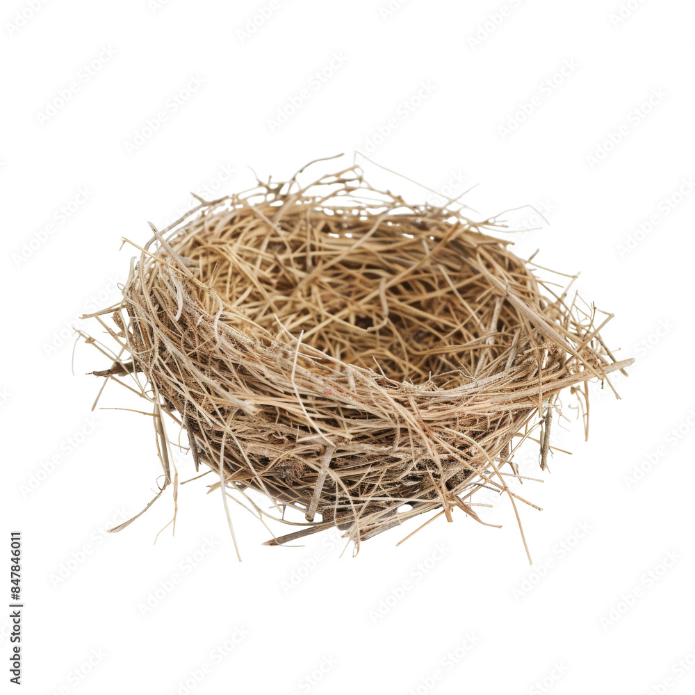 Empty Bird Nest Made of Twigs and Grass Against White Background Empty Bird Nest Made of Twigs and Grass Against White Background