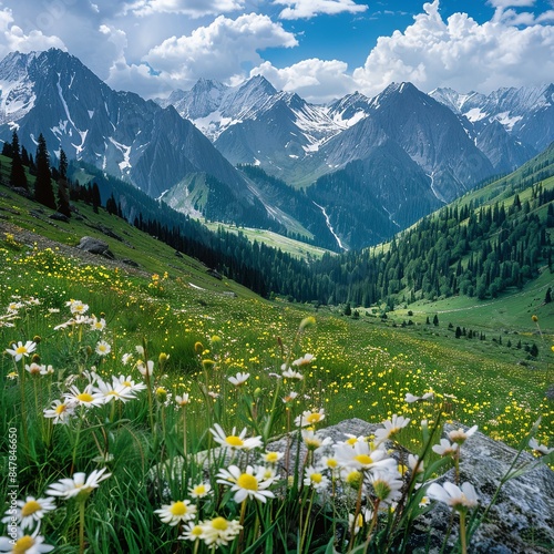 The snowcapped mountains of K notebook, the green grasslands are full of wildflowers and forests photo